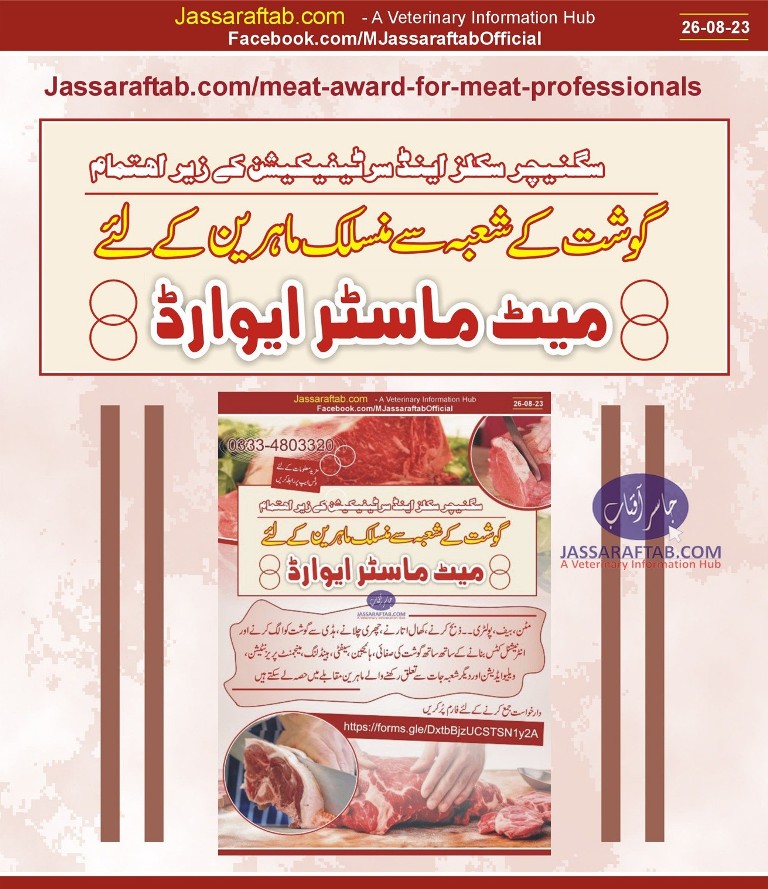 Meat Award