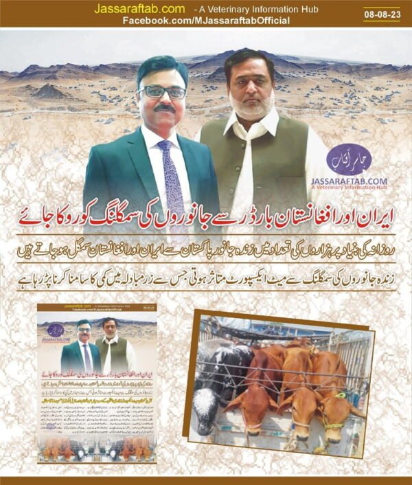 Smuggling of animals to Afghanistan Iran | Demand for Ban