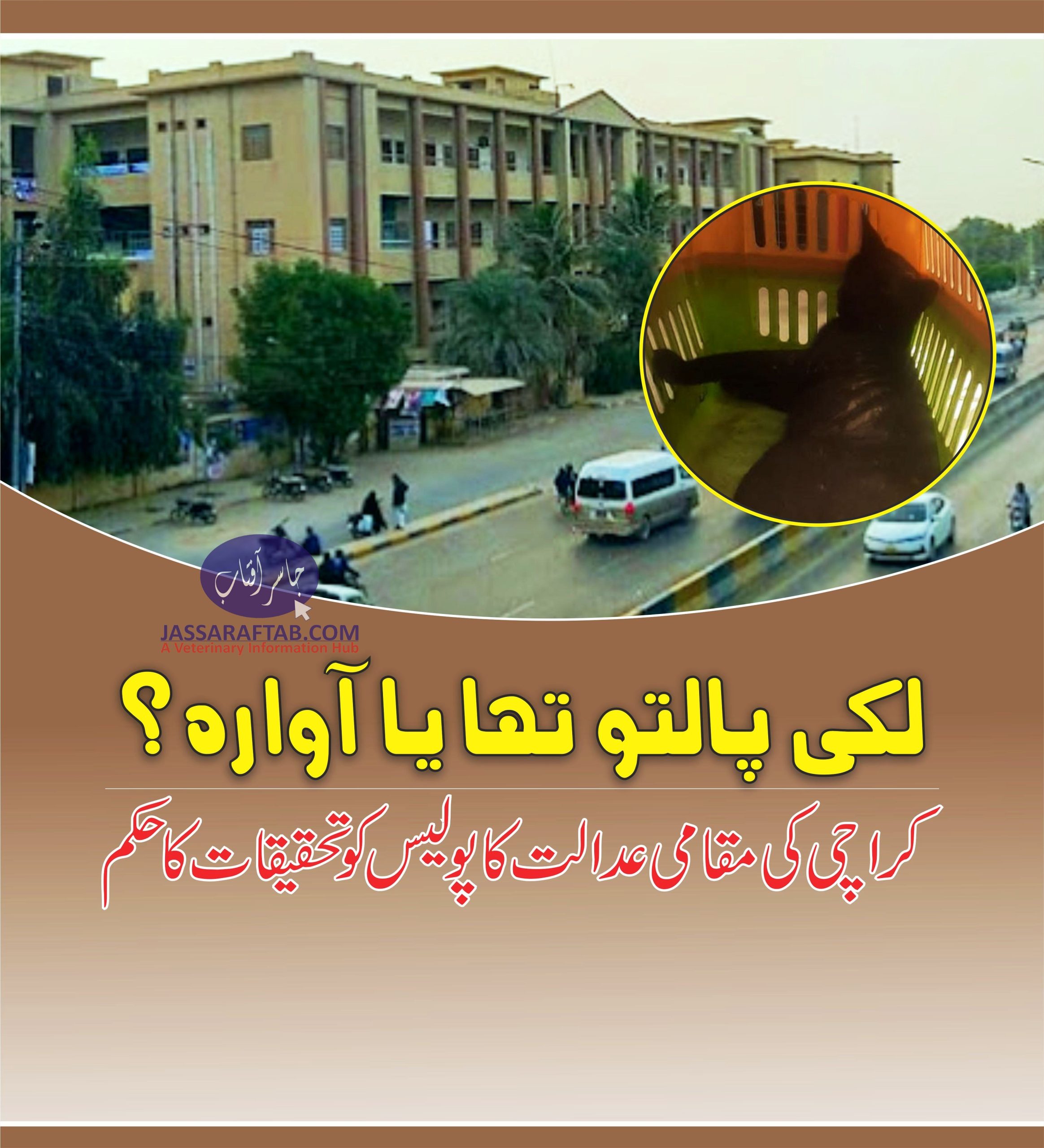 لکی پالتو تھا یا آوارہ؟ کراچی کی مقامی عدالت کا پولیس کو تحقیقات کا حکم
