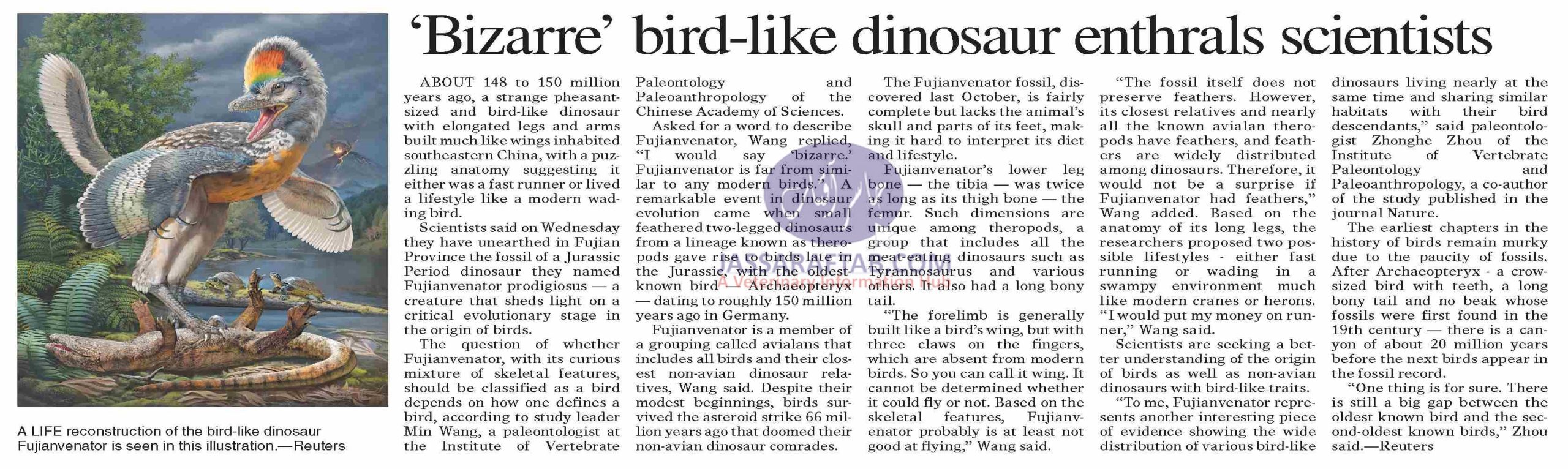 Bizarre bird-like dinosaur fossil