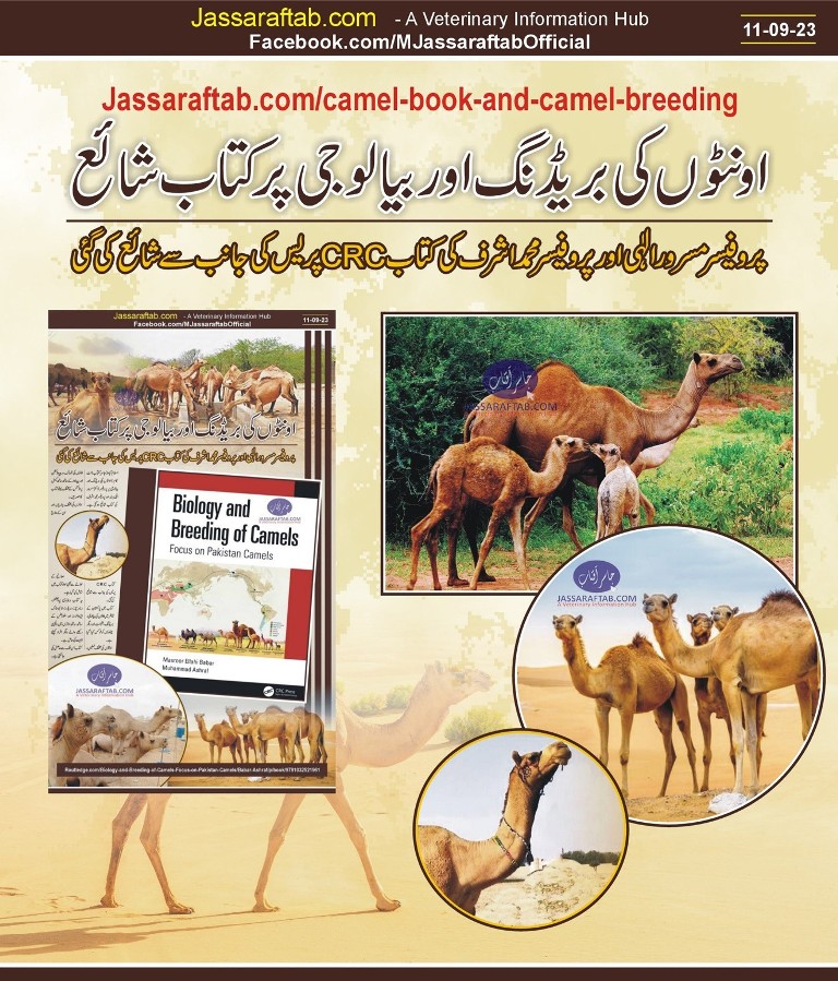Biology and Breeding of camels