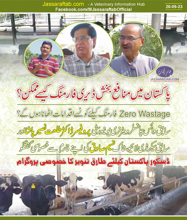 Dairy Farming in Pakistan and dairy farming business