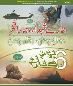 Defence Day 2023