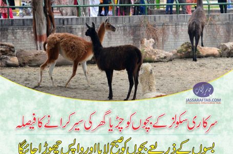 Govt School children will have opportunity to visit Zoo in Lahore