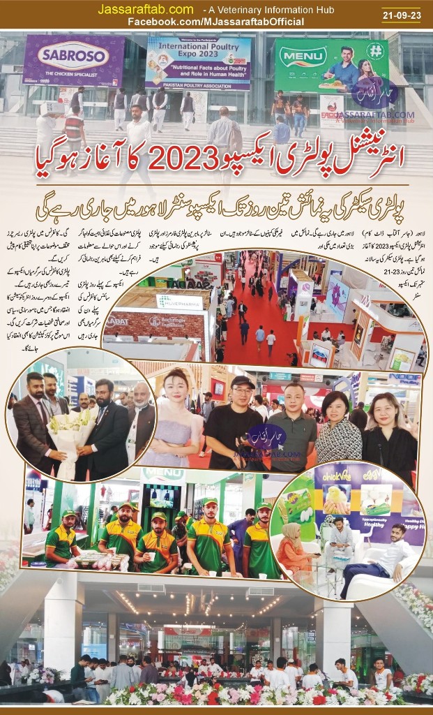 IPEX Pakistan 2023 Started