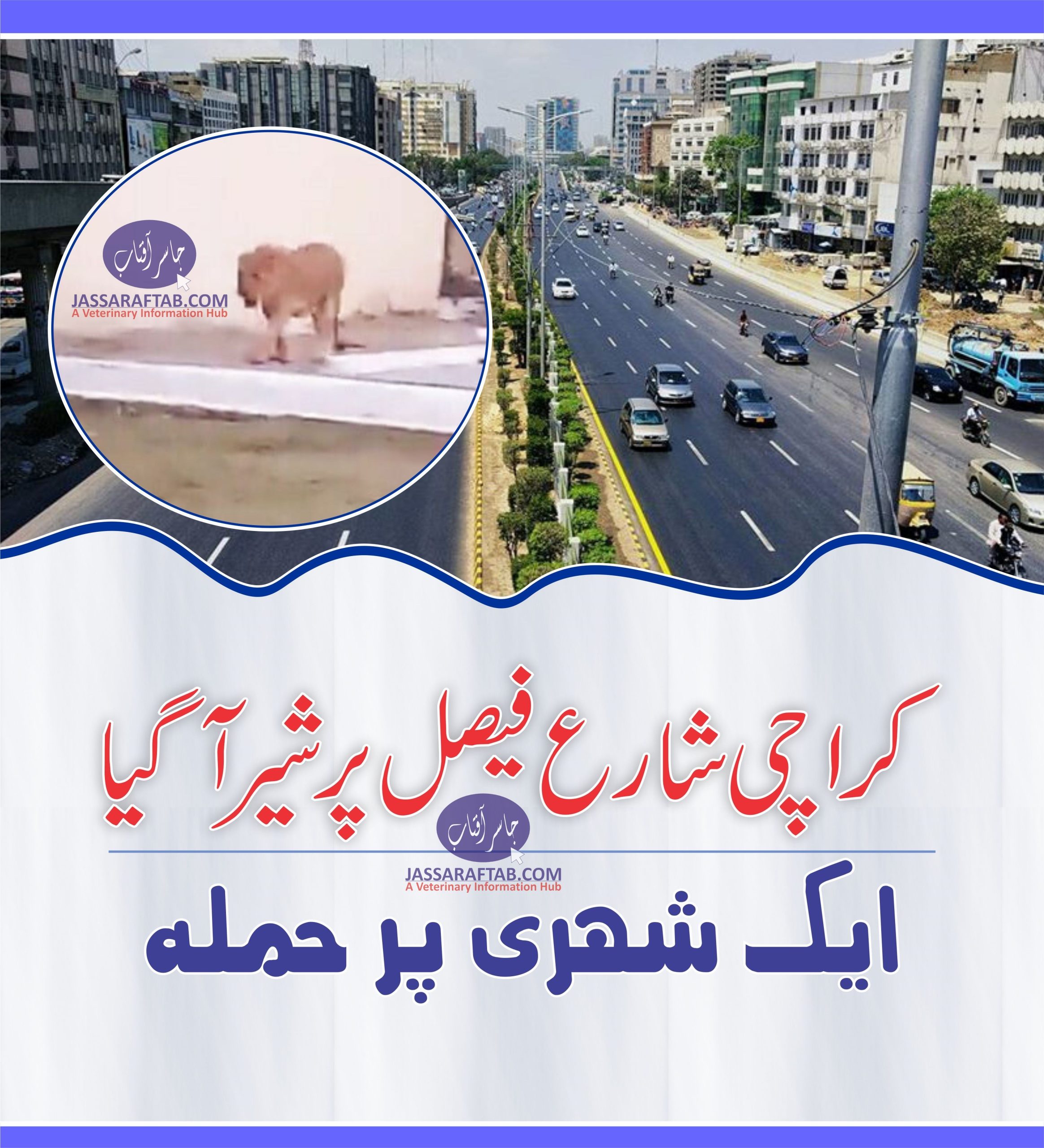 Lion spotted on Karachi’s Shahrah-e-Faisal