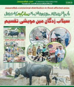 Livestock Distribution in flood affected areas