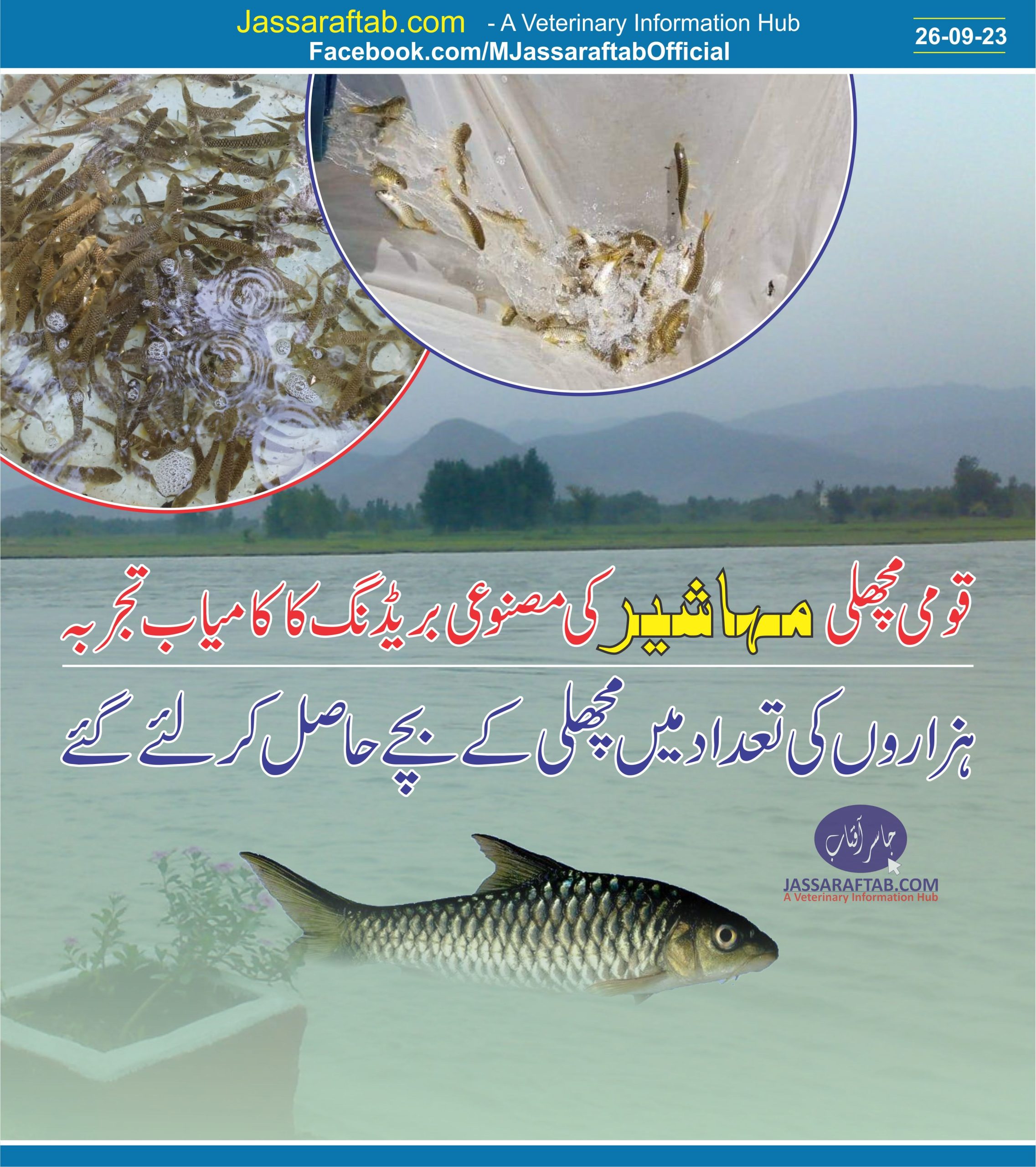 National Fish of Pakistan Mahseer breeding