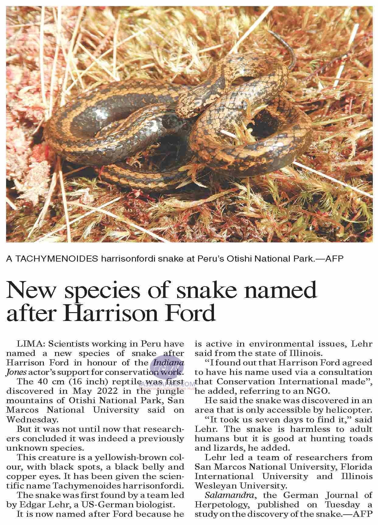 Scientists named new species of snake after harrison ford