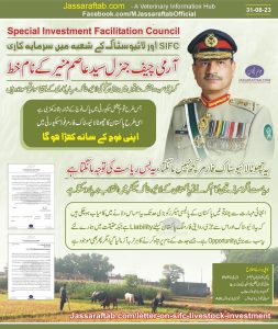 Special Investment Facilitation Council