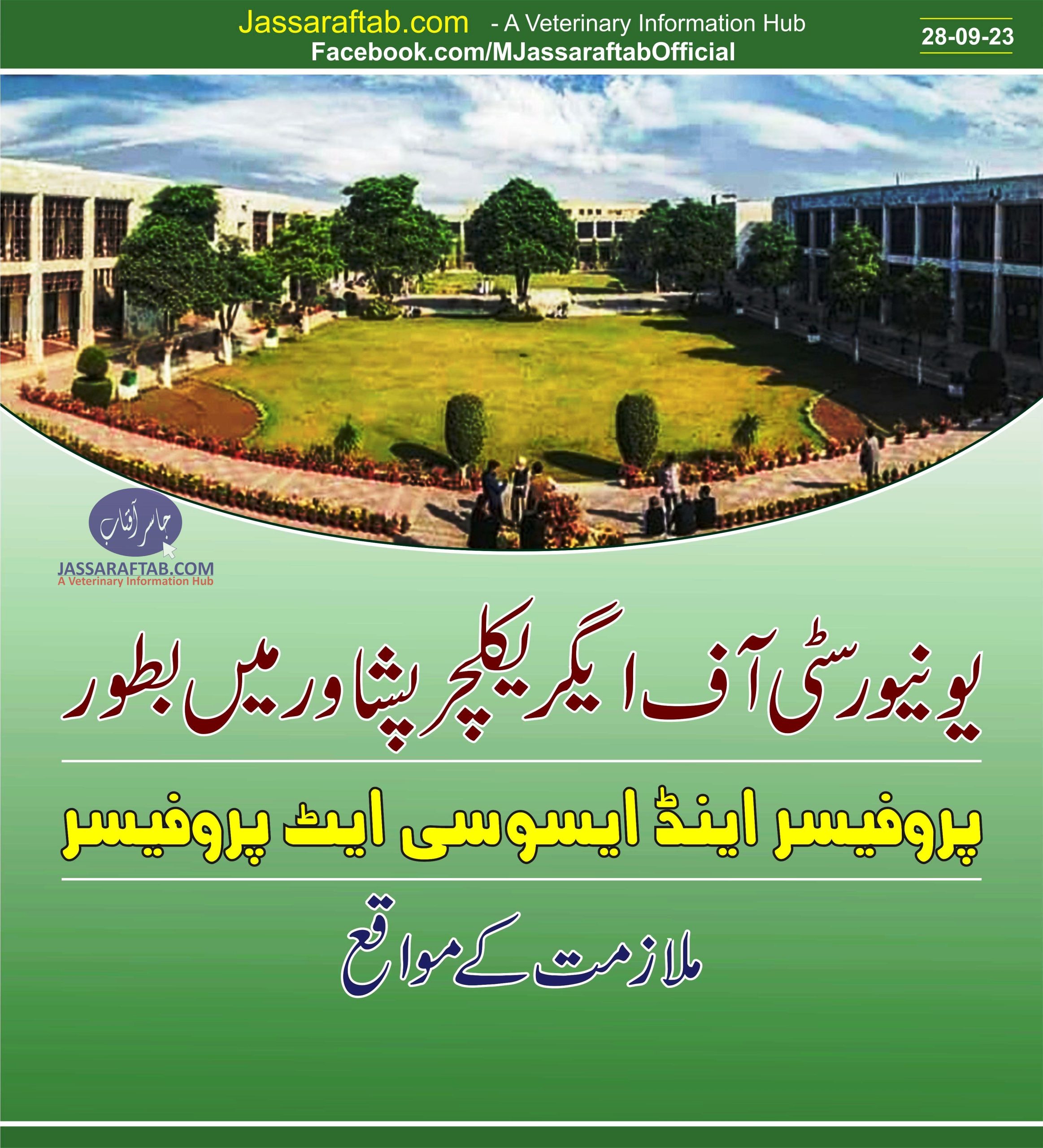 یونیورسٹی آف ایگریکلچر پشاور میں بطور پروفیسر اینڈ ایسوسی ایٹ پروفیسر ملازمت کے مواقع
