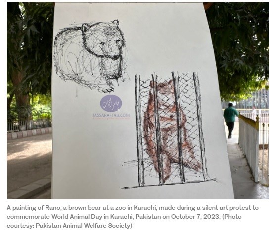 A painting of Rano, a brown bear at Karachi zoo on world animal day