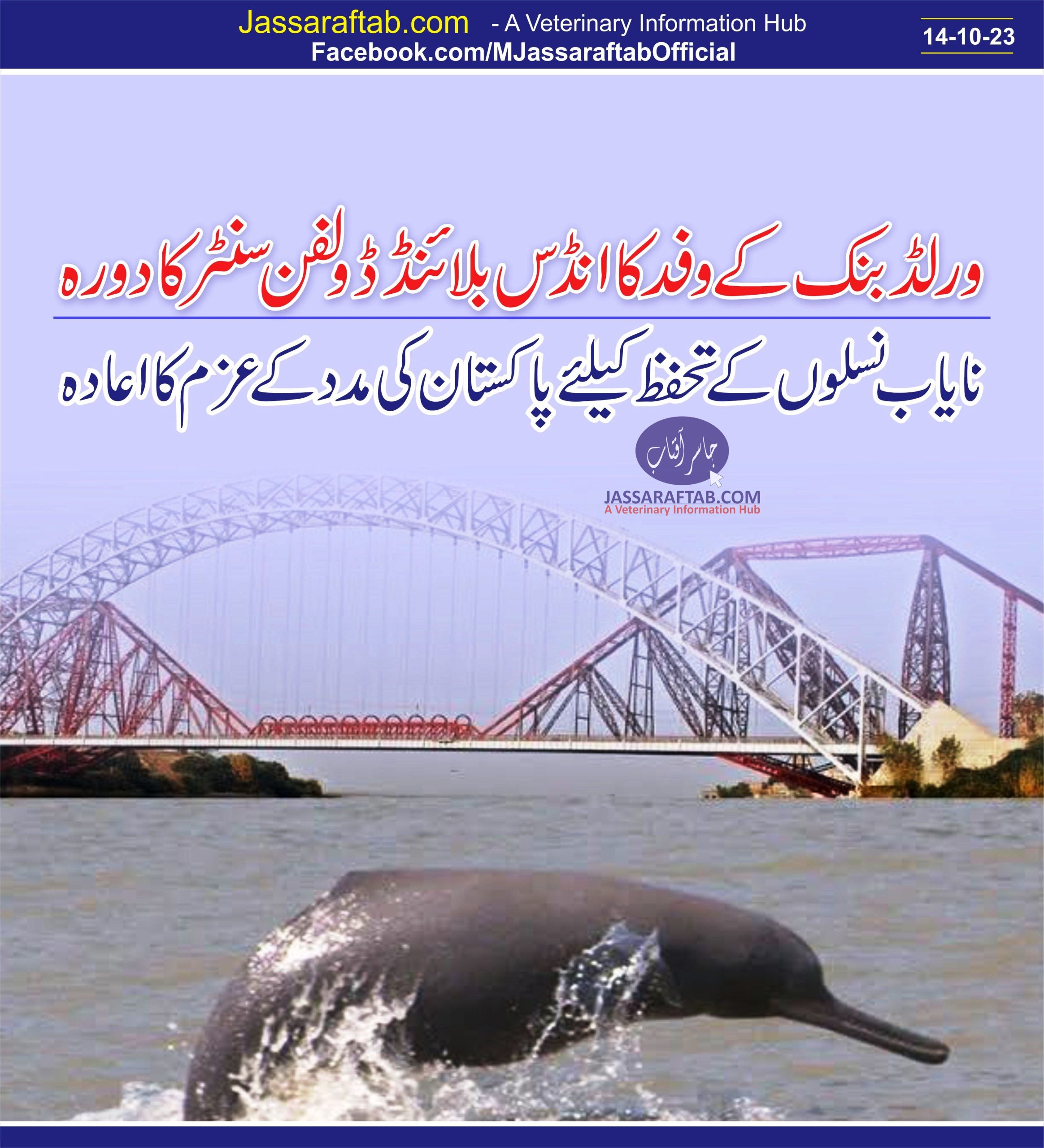 Blind Dolphin in Sukkur Barrage