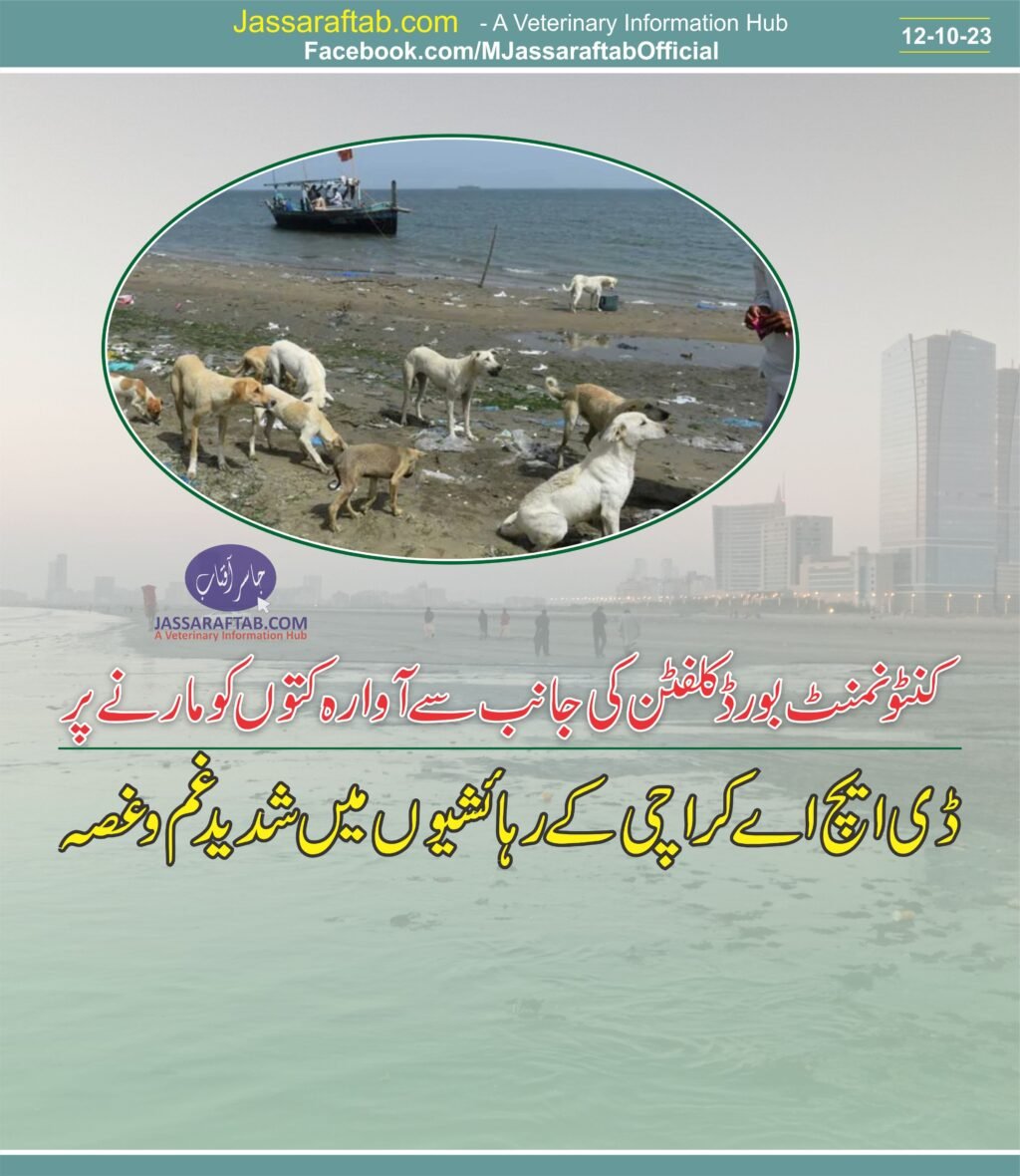 DHA Karachi residents ire provoked due to dog culling