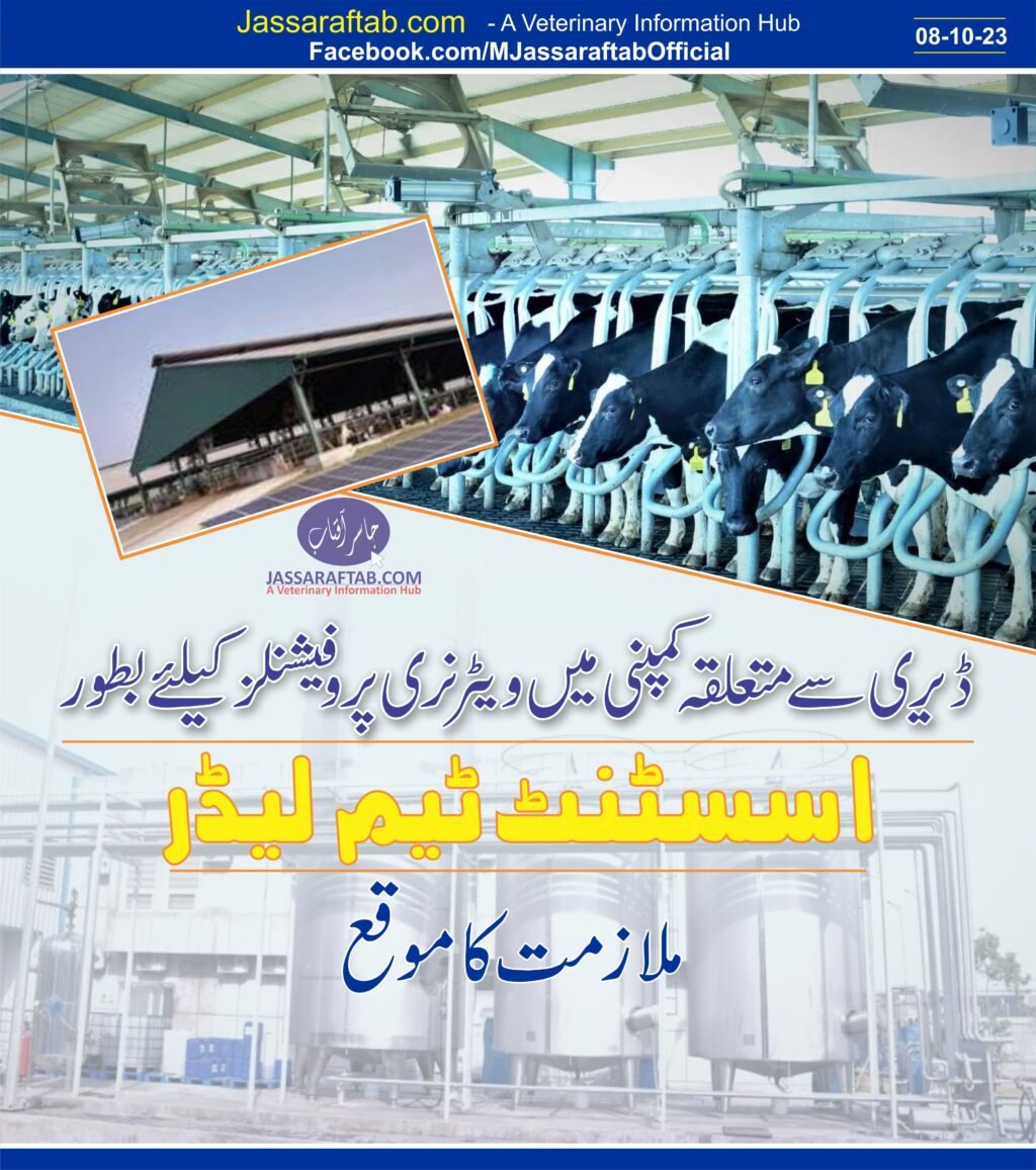 Job opportunity for veterinary professionals as assistant team leader | A Veterinary Information Hub Job opportunity for veterinary professionals as assistant team leader