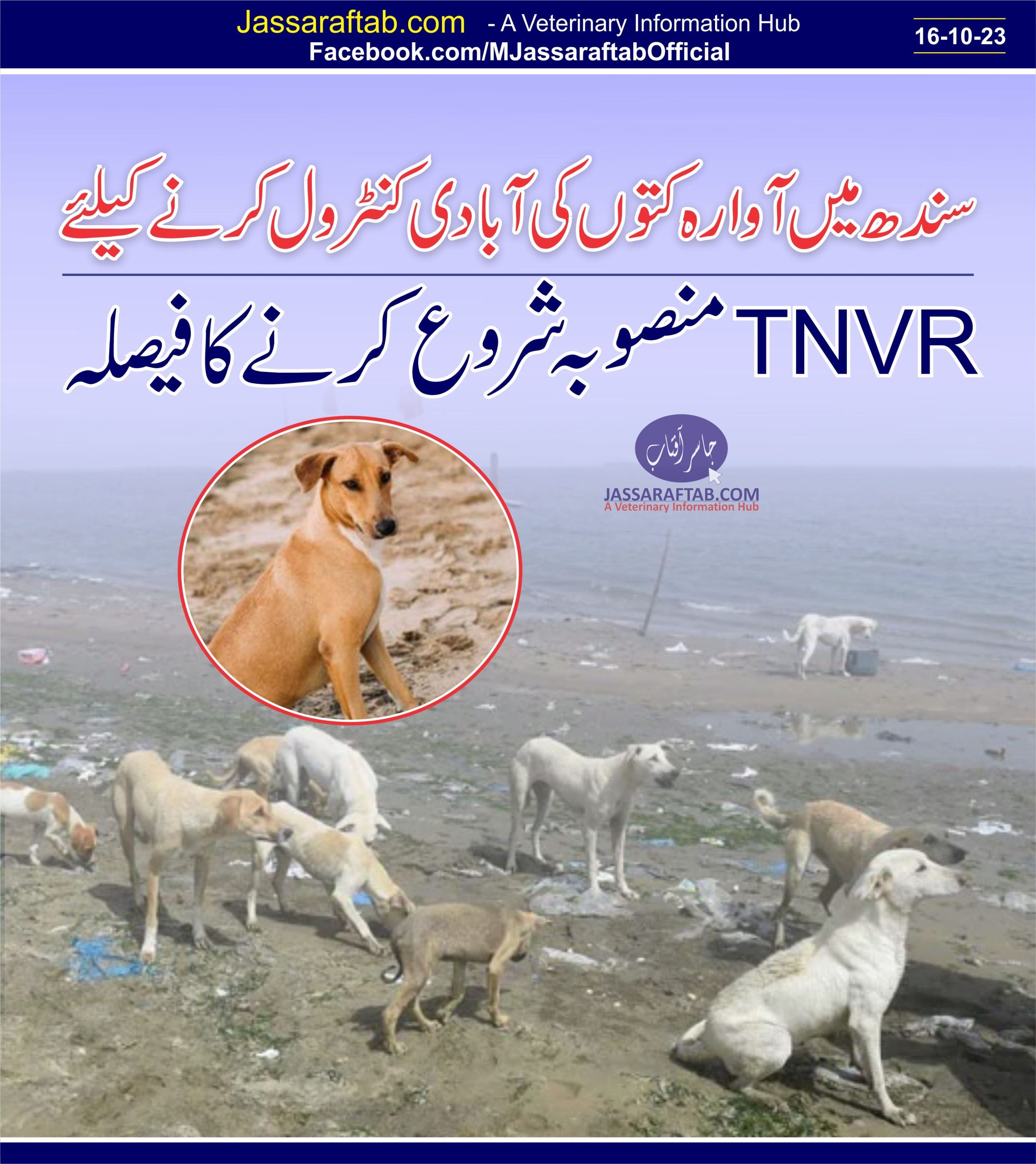 TNVR project launched to control Stray Dog population