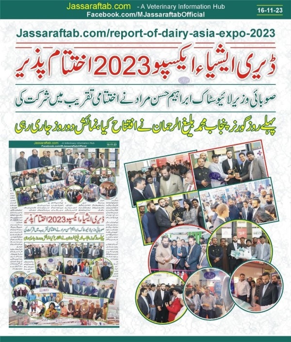 Dairy Expo 2023 Report
