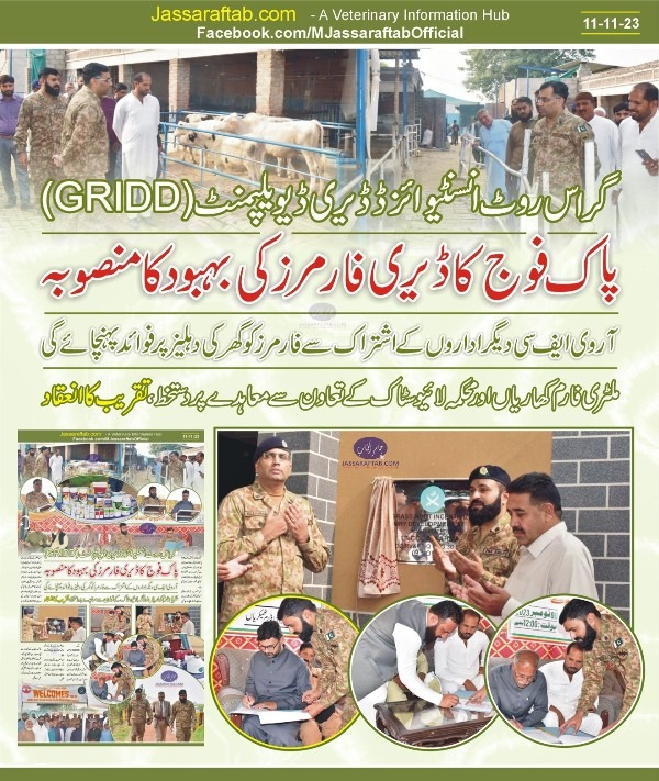 GRIDD Program of RVFC of Pakistan Army