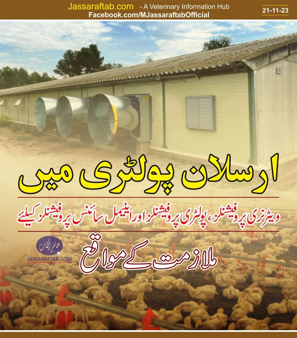 Jobs in Poultry sector for veterinarians and poultry science professionals