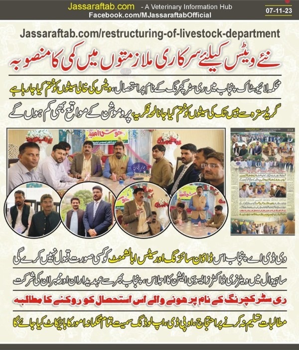 Seats Abolishment in Livestock Department Punjab