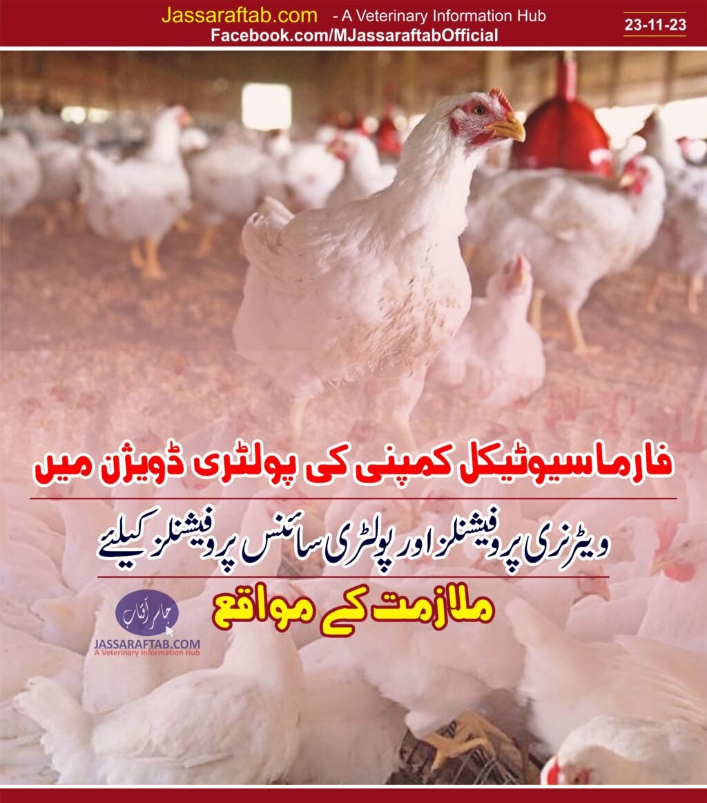 Veterinary professionals jobs in poultry medicine company