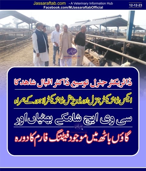 DG extension Iqbal Shaid Punjab Livestock dept visited CVH Shamkay Bhattian and Cattle fattening farm also