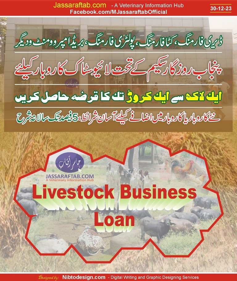Dairy Farming Business Loan and poultry farming loan by government