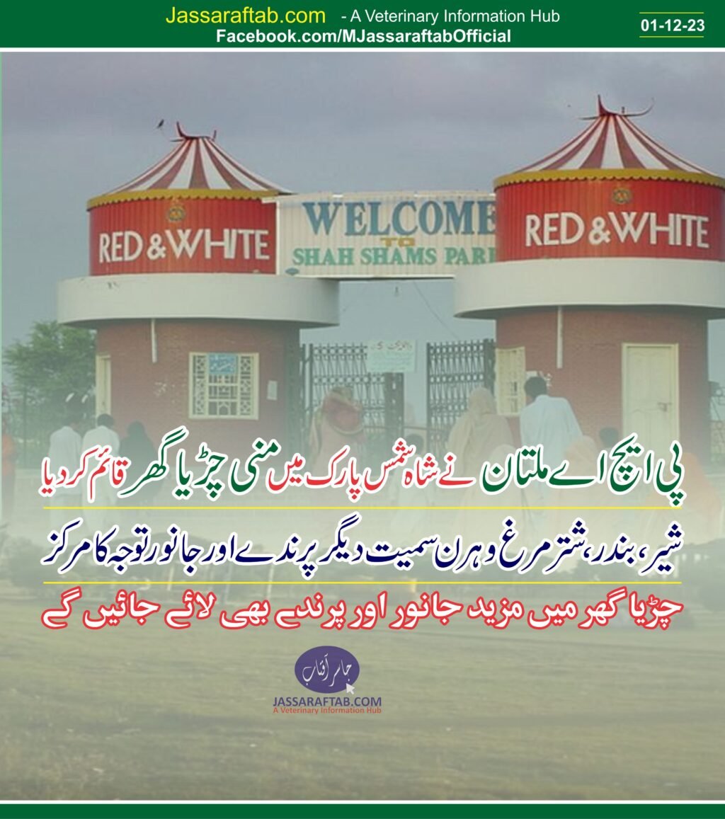 PHA Multan has costructed Mini Zoo at Shah Shams Park