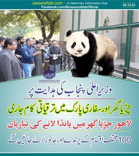 Revamping work of Lahore Zoo and Safari Park on the order of CM Punjab - Copy