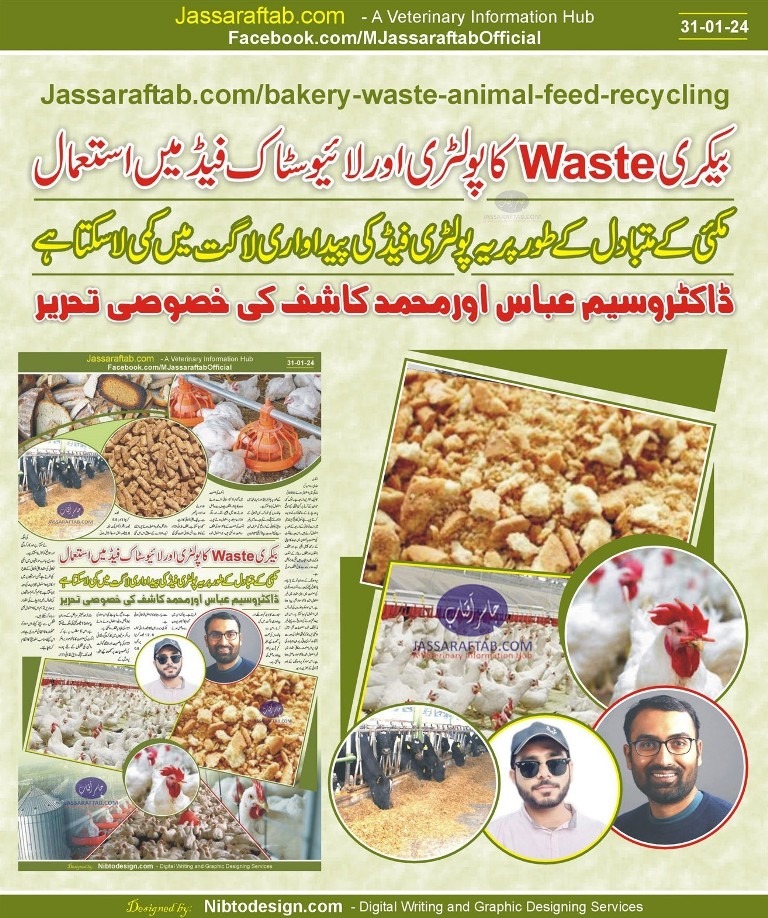 Bakery Waste Animal Feed and Bakery Waste Recycling