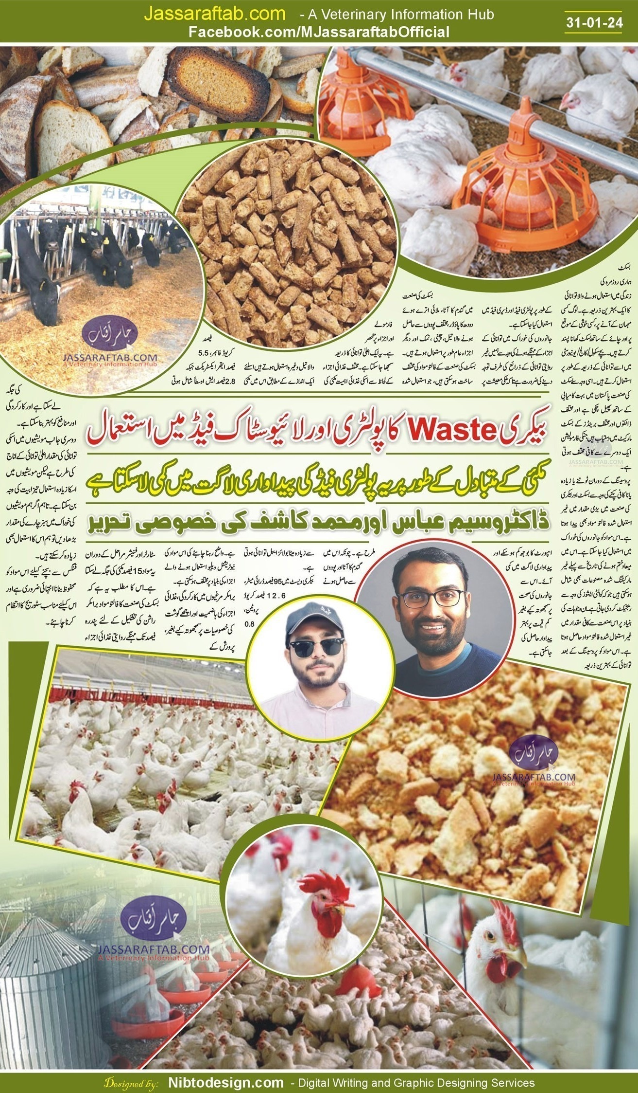 Bakery Waste for Poultry Feed and Bakery Waste for Cattle Feed