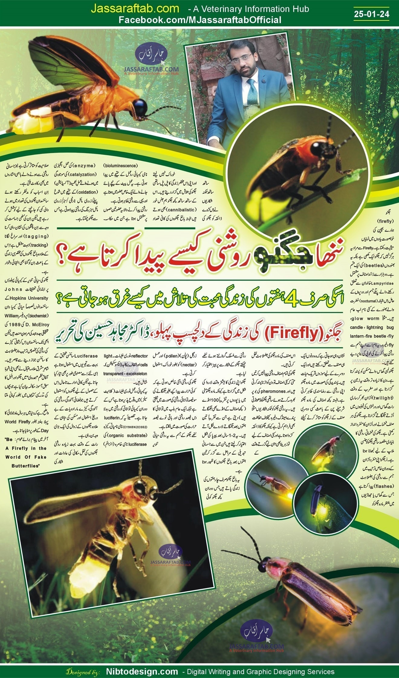 Facts about Fire Fly Bug or Glow Worm or Fireflies Lightning Bugs or fireflies beetles or firefly
