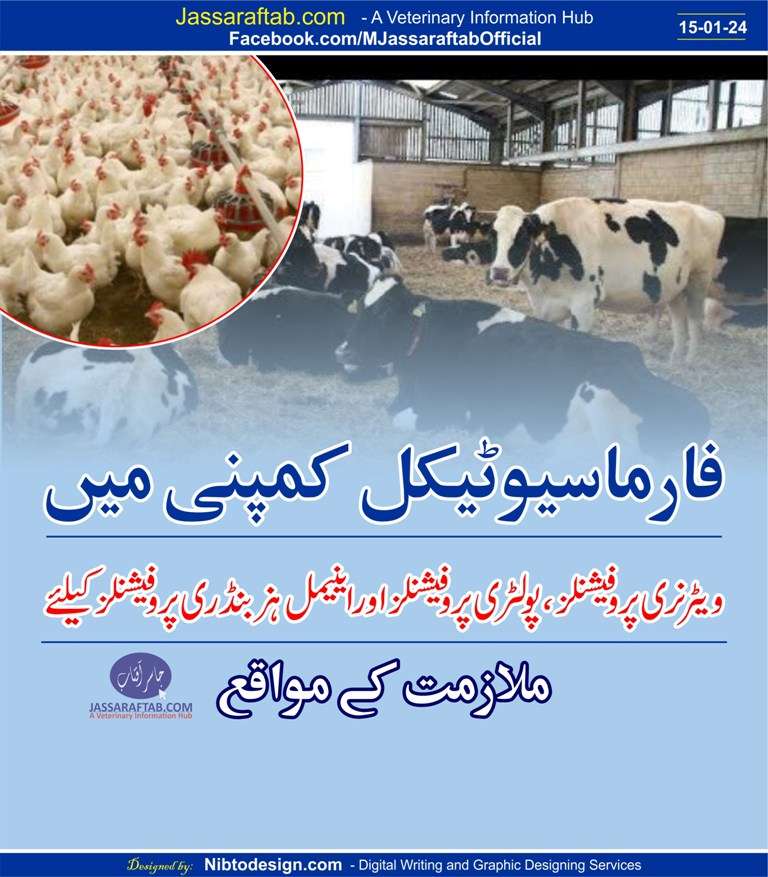 veterinary jobs in Sindh | veterinary medicine company jobs