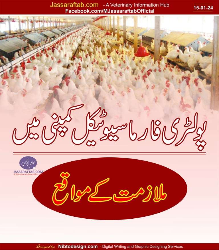 poultry pharmaceutical jobs