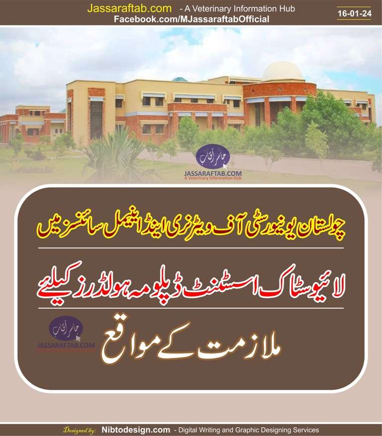 چولستان یونیورسٹی آف ویٹرنری اینڈ اینیمل سائنسز میں لائیوسٹاک اسسٹنٹ ڈپلومہ ہولڈرز کیلئے ملازمت کے مواقع