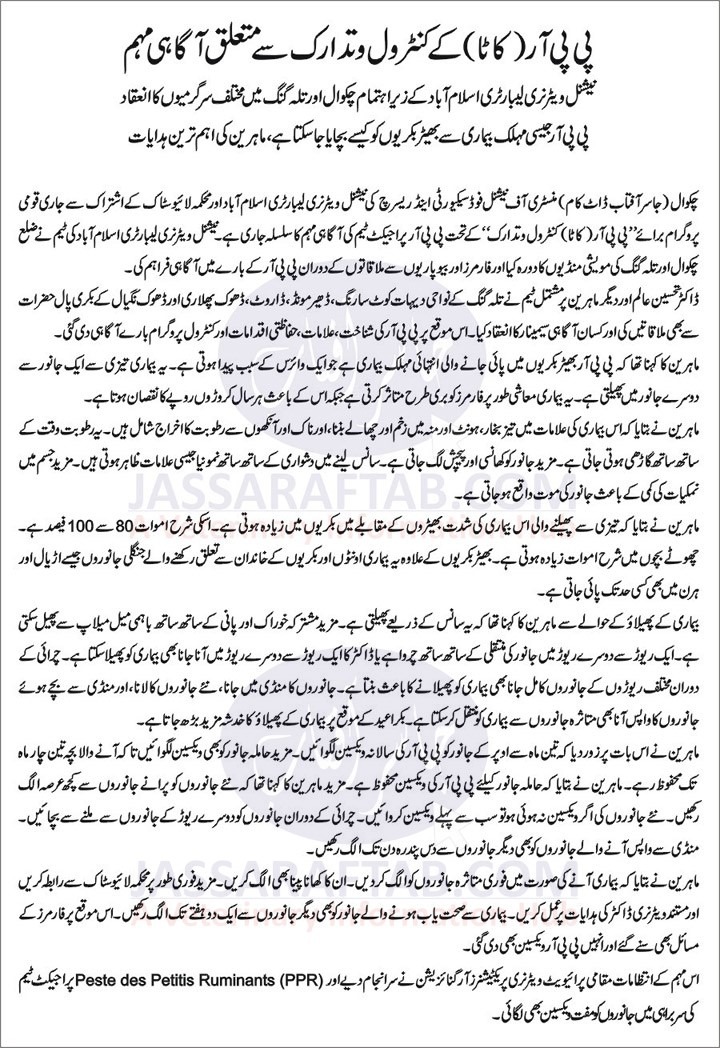 PPR Disease in Urdu, PPR disease full form and PPR Vaccination
