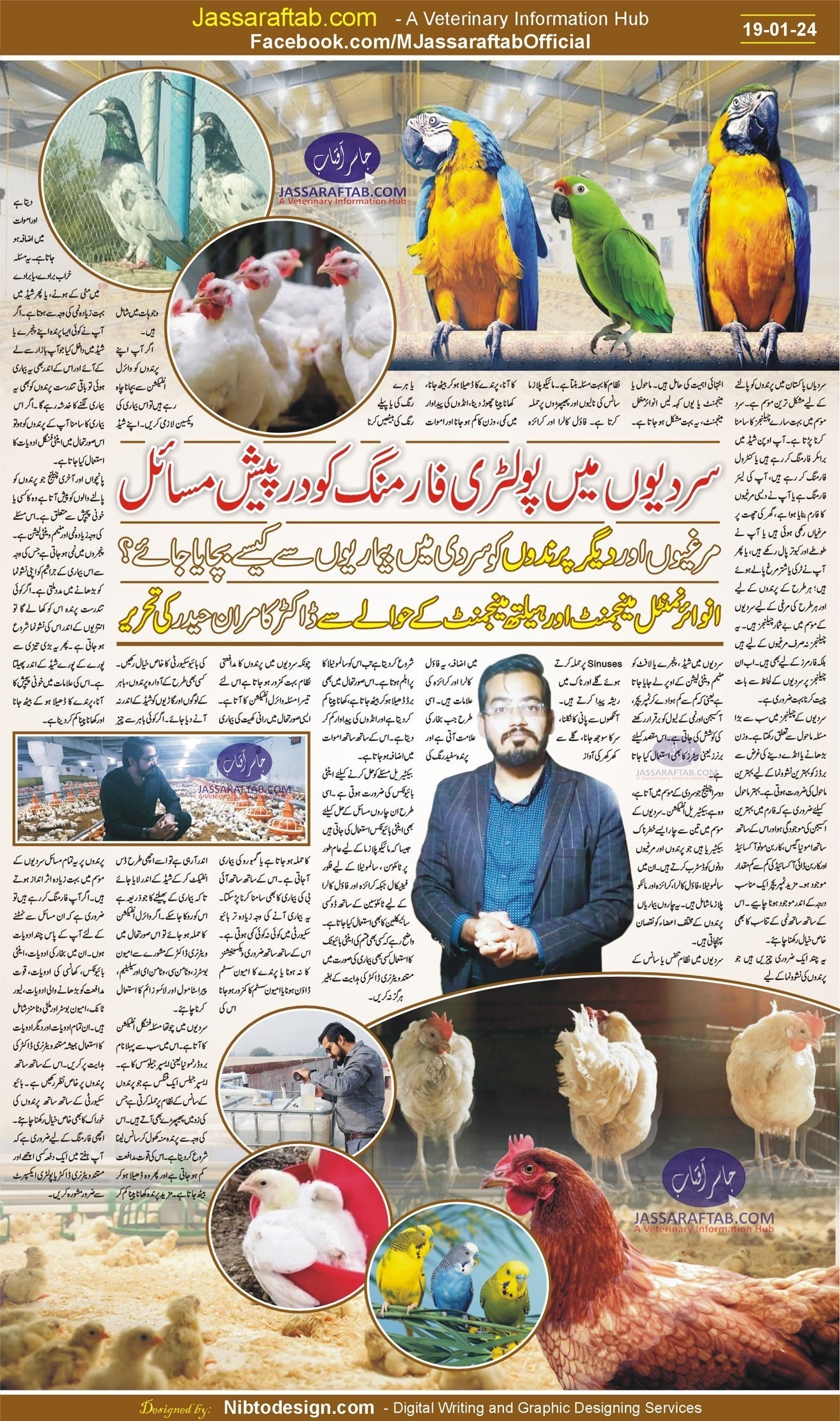 Poultry Winter Management and chicken care in cold weather
