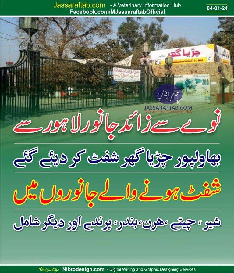 Wild Animals including lions,tigers,monkeys & deer shiftef from Lahore Zoo to Bahawalpur Zoo