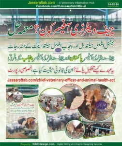 Animal Husbandry Commissioner Chief Vet and Veterinary Technical Committee