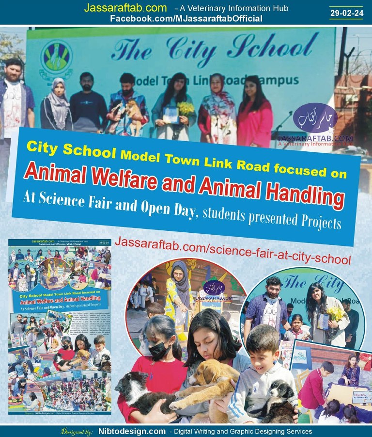 Science Fair at City School Model Town Link Road