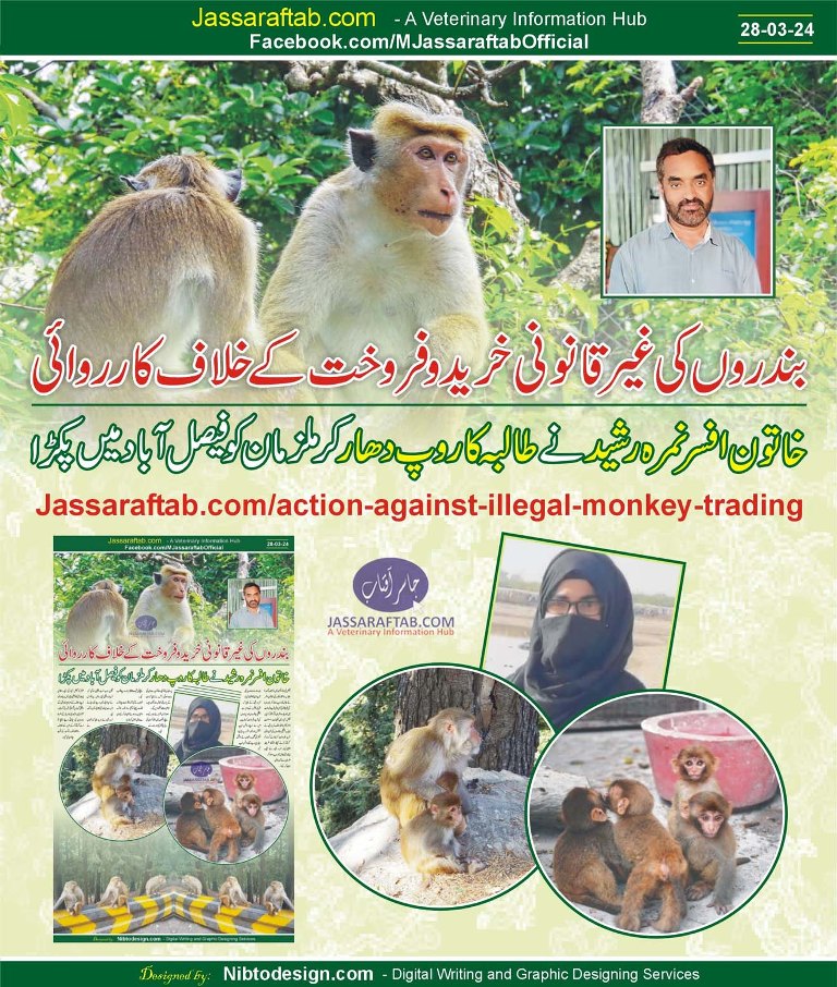 طالبہ کا روپ دھار کر بندروں کی غیرقانونی خریدو فروخت کے خلاف لیڈی وائلڈ لائف آفیسر کی کارروائی