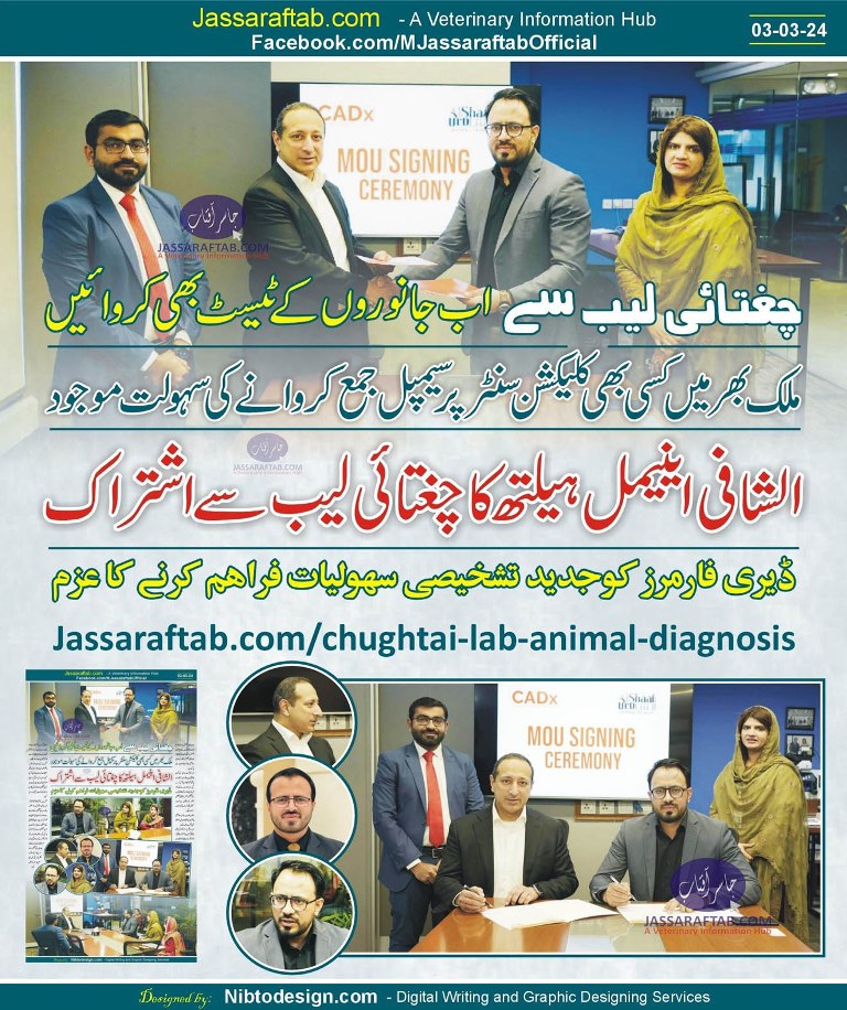 Animal Diagnosis at Chughtai Lab