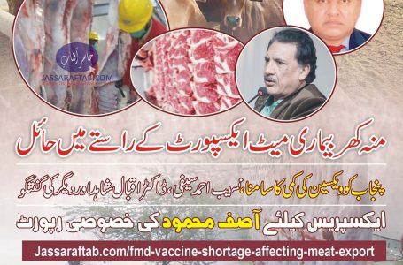 FMD Vaccine Shortage affecting Meat Export in Punjab