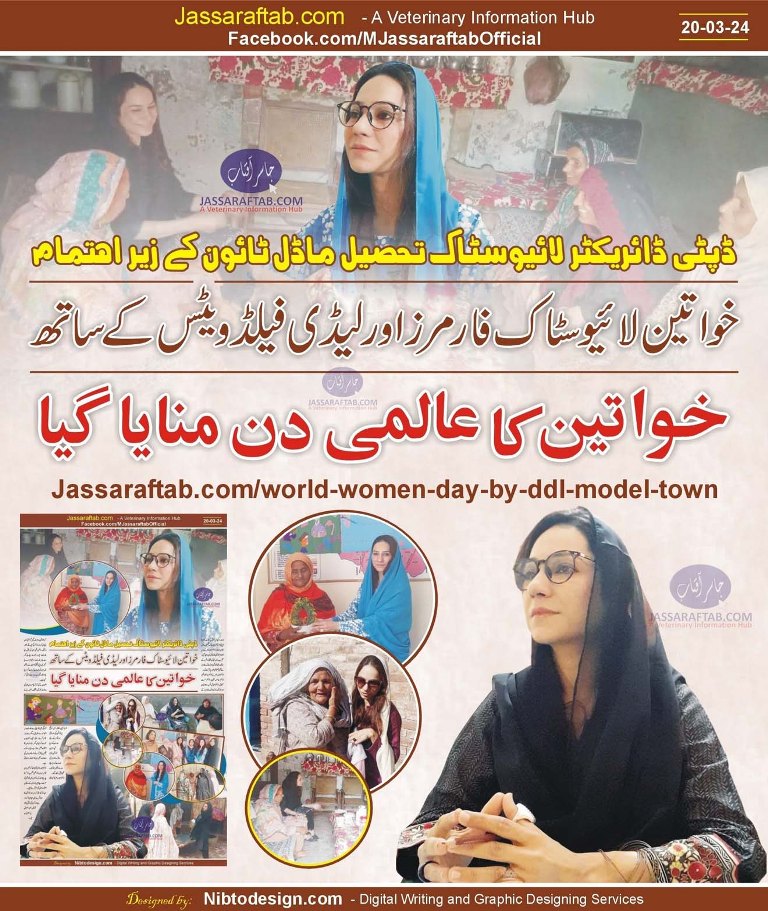 International Women's Day by DDL Model Town Lahore