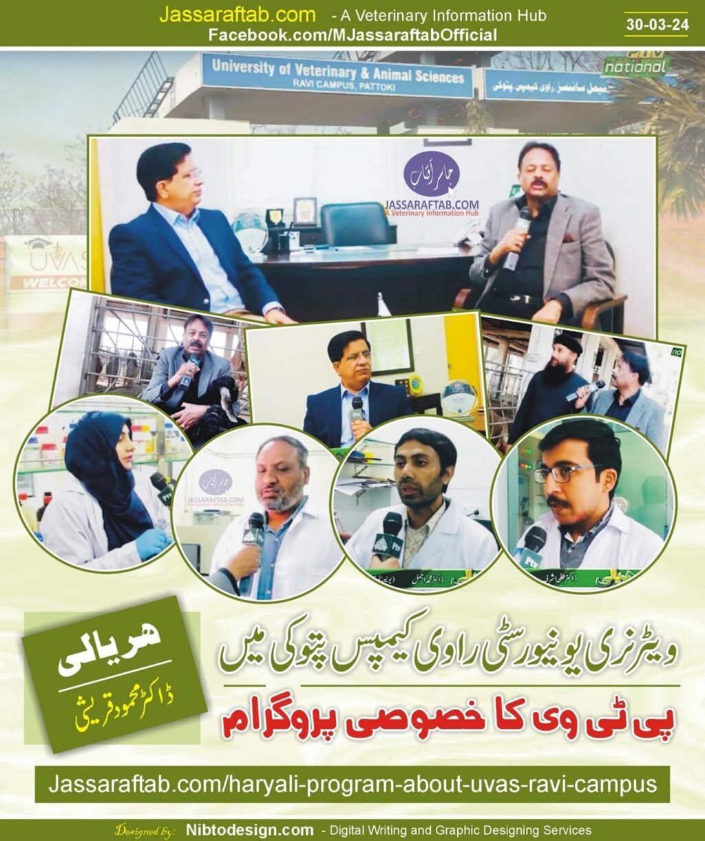 PTV Program Haryali about UVAS Ravi Campus