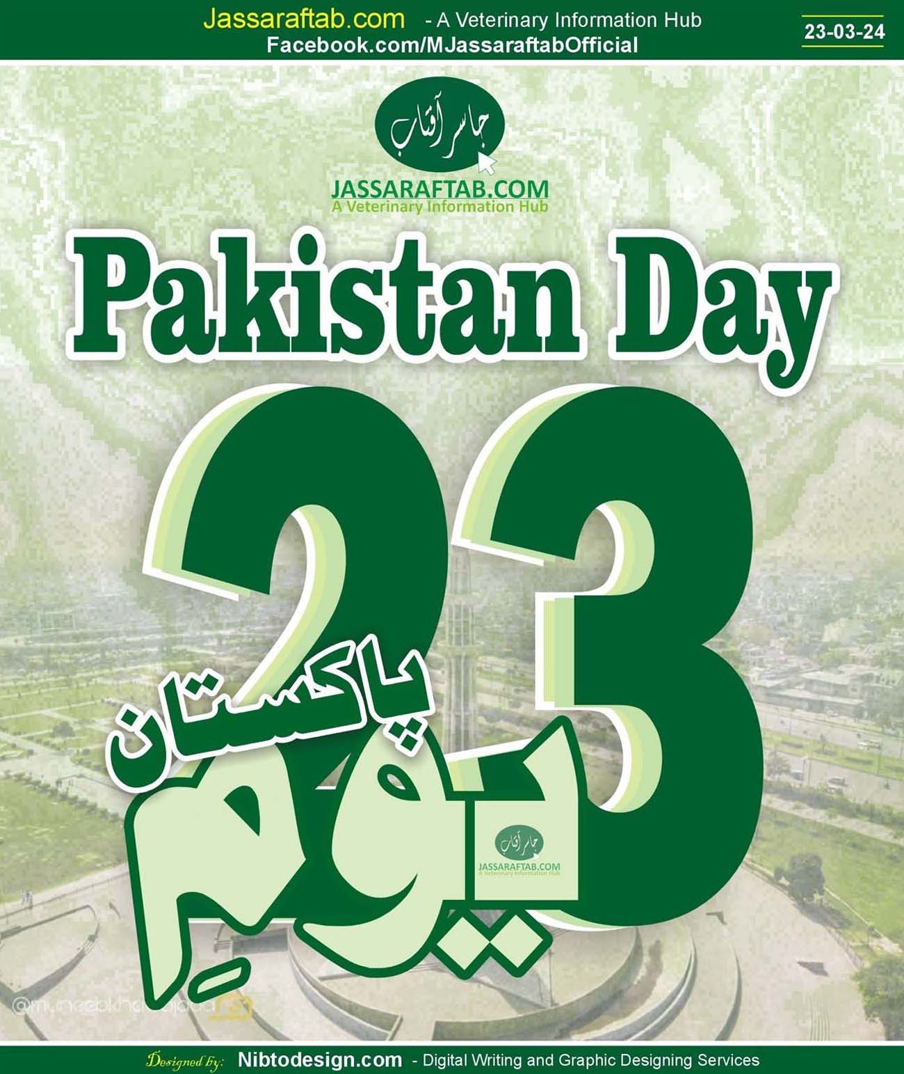 Pakistan Day Banner 2024
