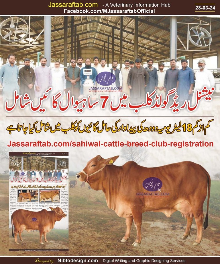 RCCIB Jhang Sahiwal Cattle Breed Club Registration