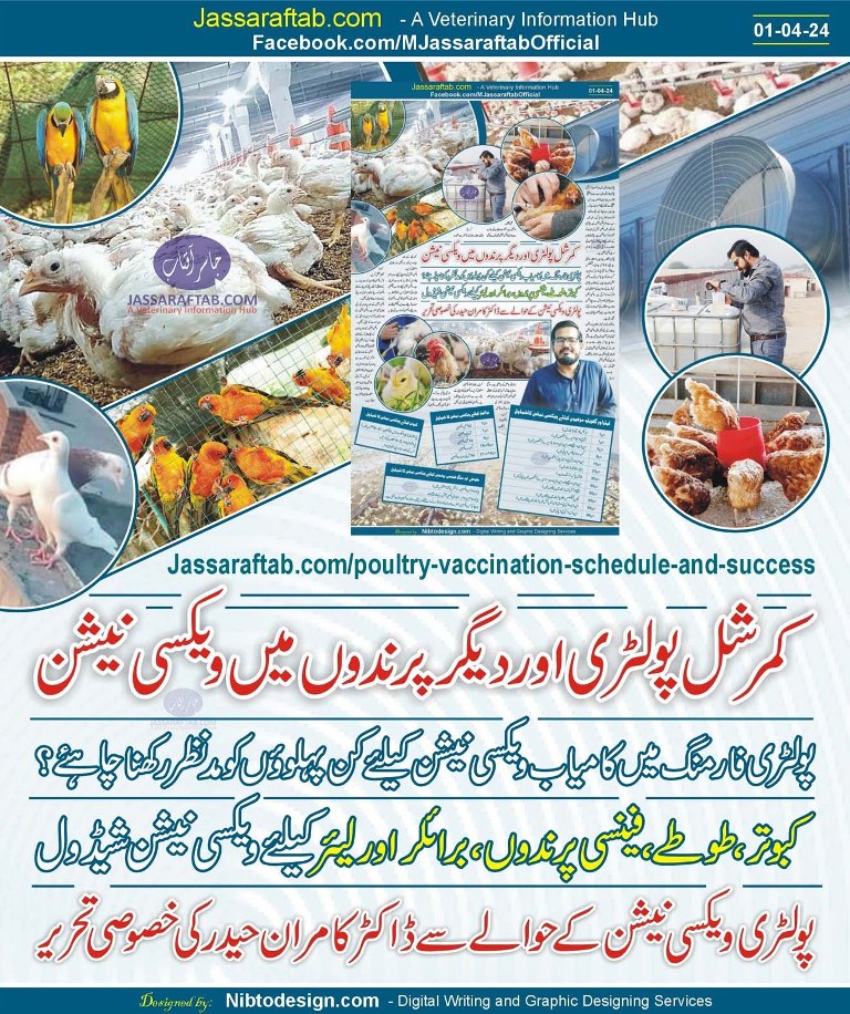 Avian vaccination schedule for poultry and other birds