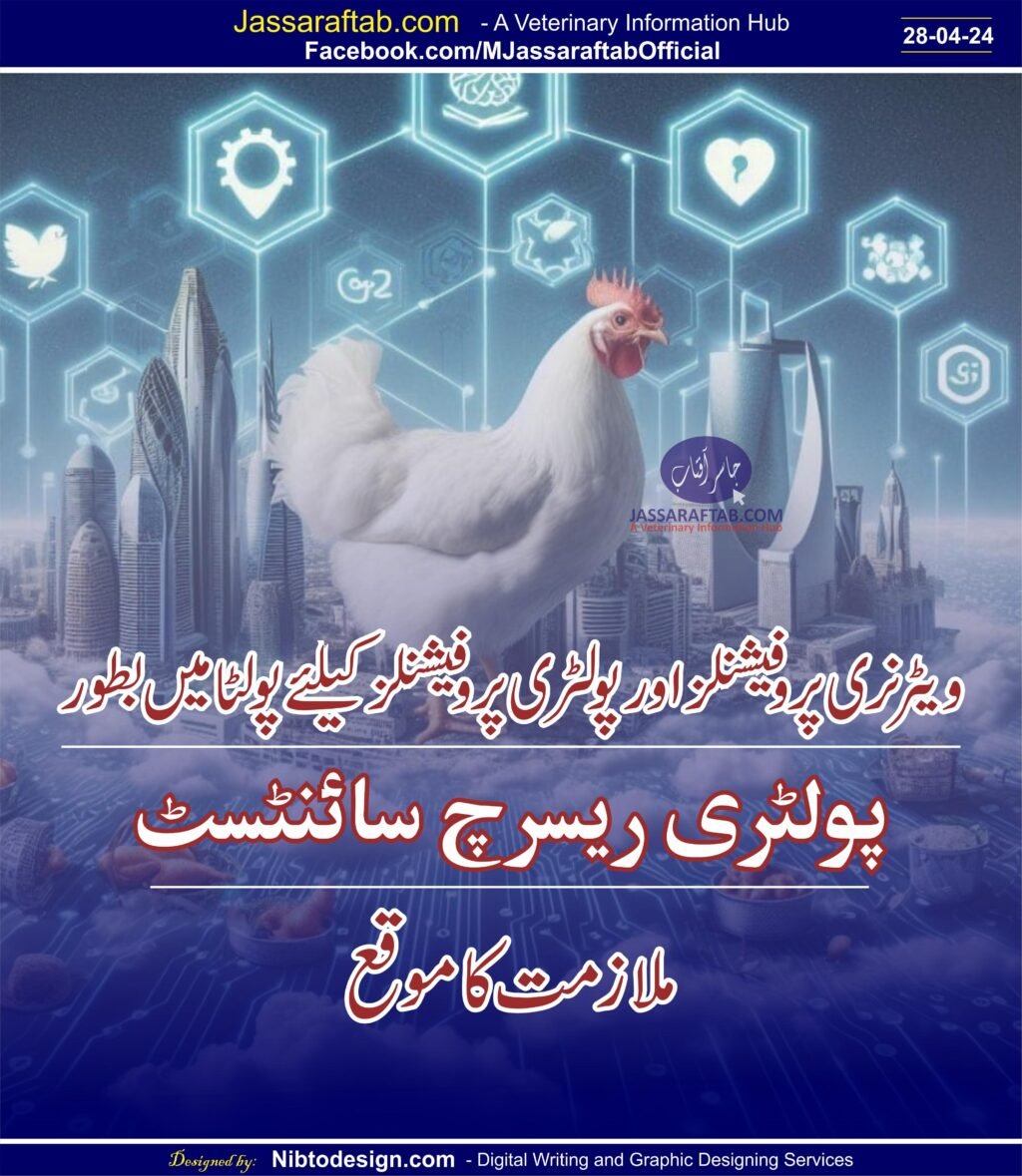 Jobs at Poulta and Veterinarian jobs , Poultry jobs