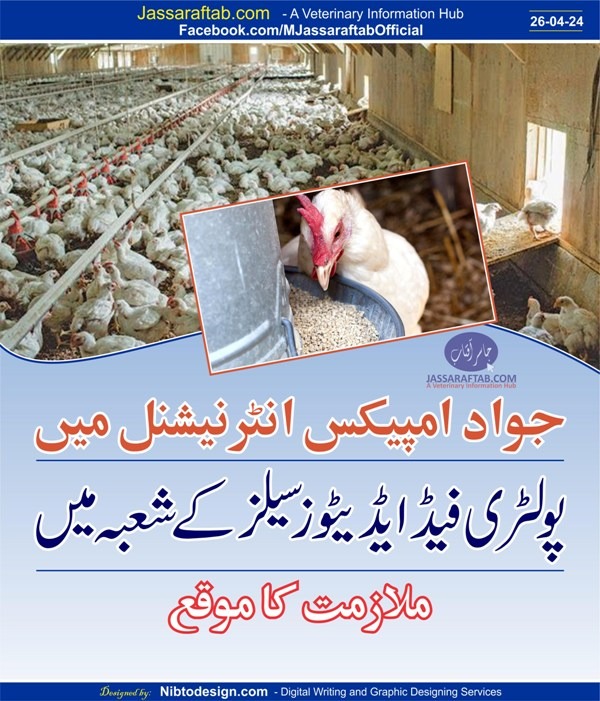 Poultry Feed additives jobs at Jawad Impex International